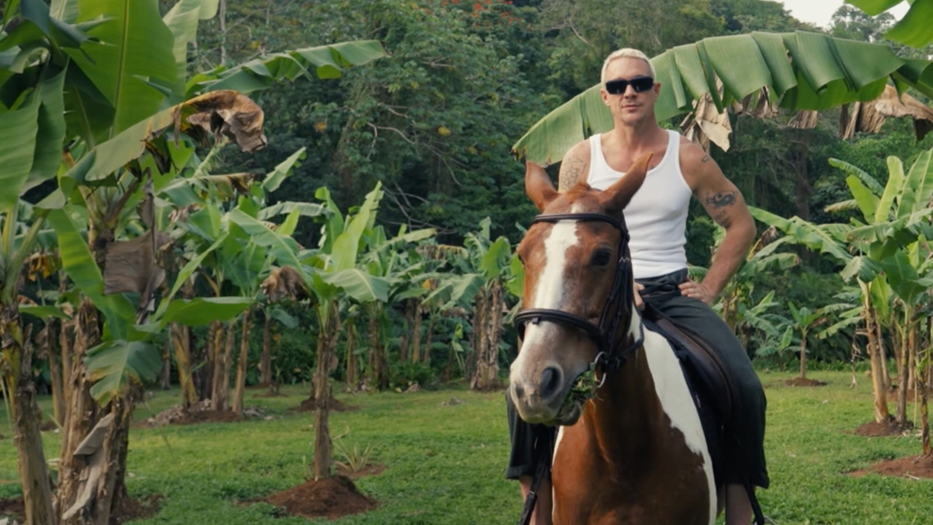 Watch Diplo Nos Abre Las Puertas De Su Casa En La Selva De Jamaica watch-diplo-nos-abre-las-puertas-de-su-casa-en-la-selva-de-jamaica
