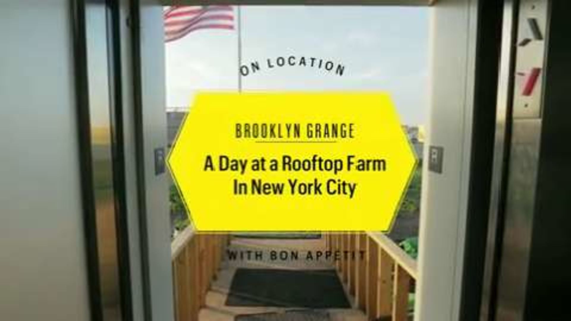 Watch A Day on a Rooftop Farm in New York City On Location Bon Appétit