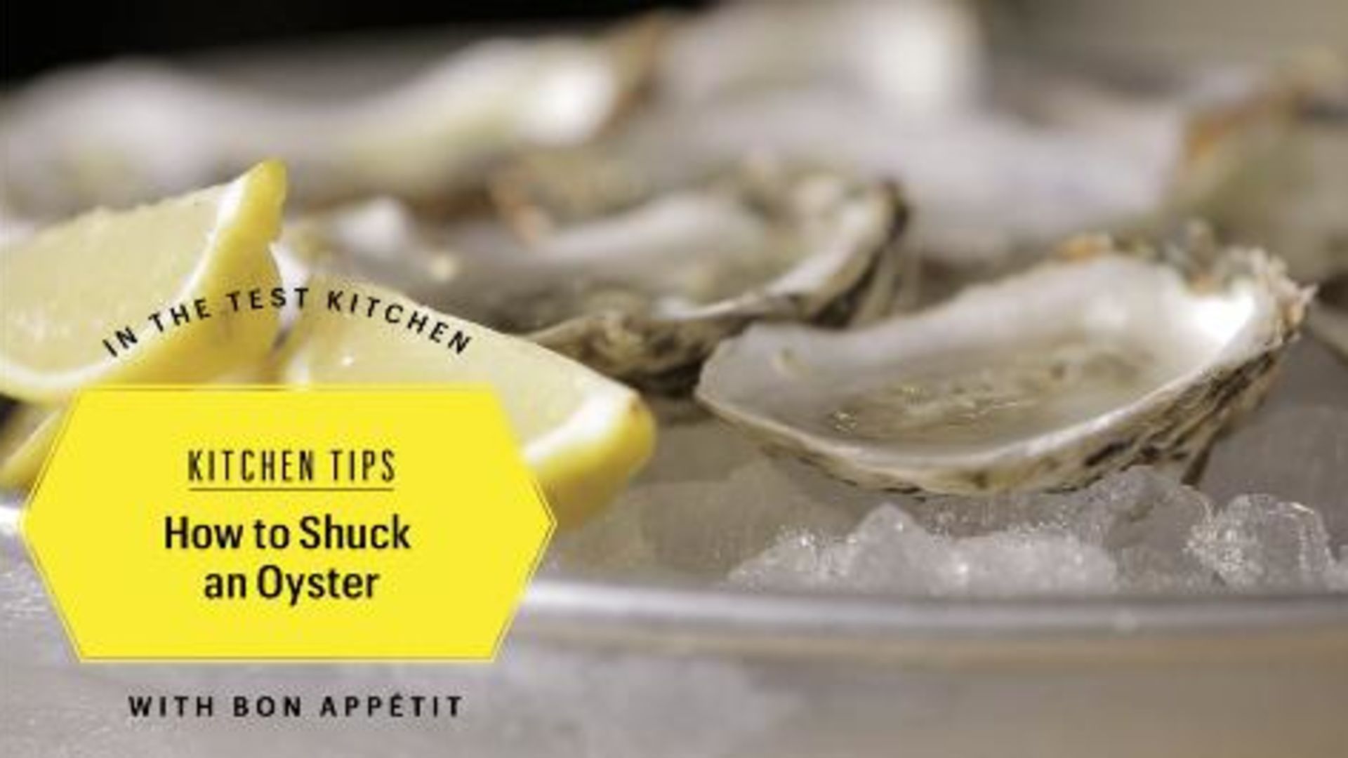 How to Shuck an Oyster Without Hurting Yourself