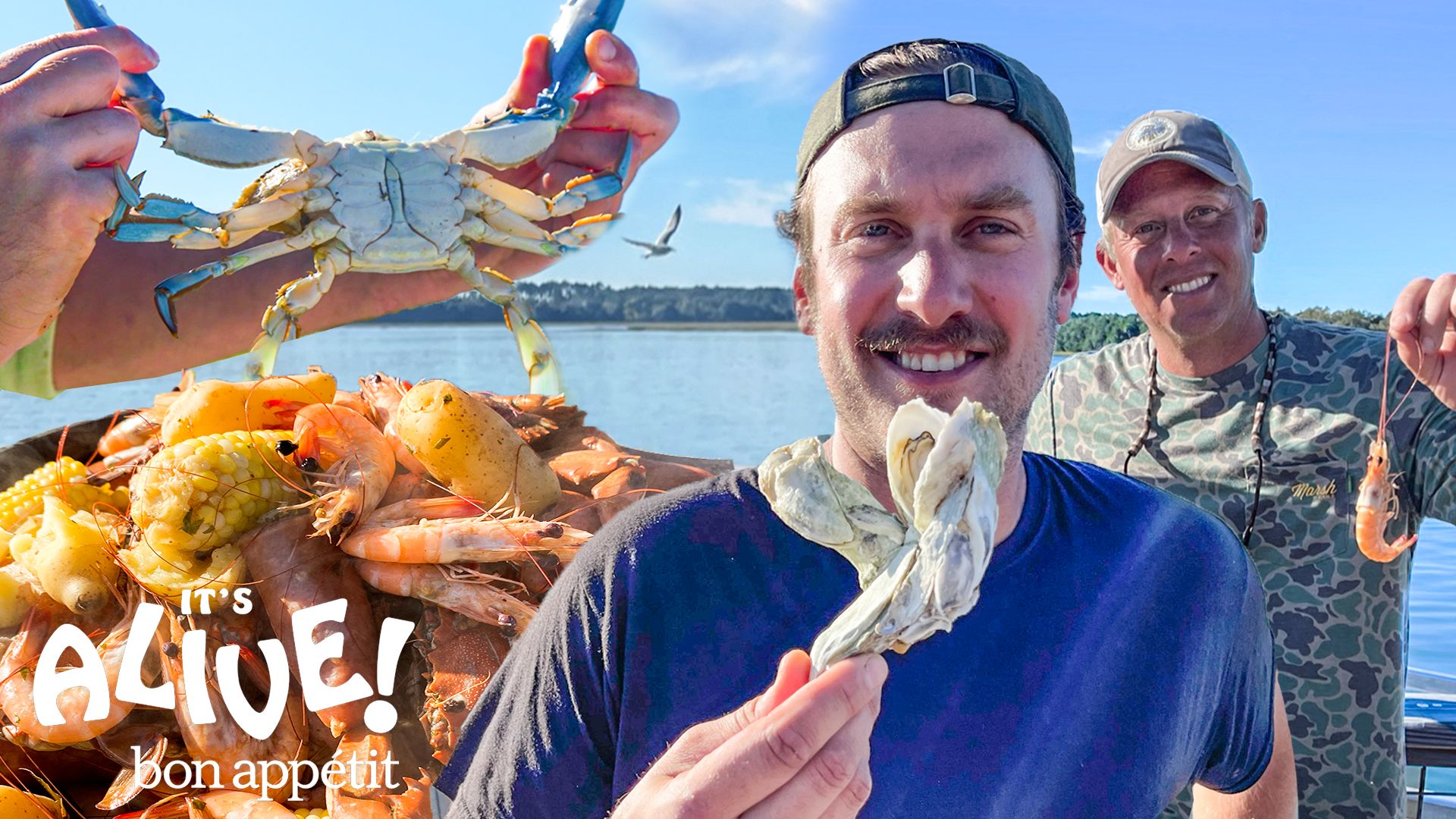 Watch Brad Goes Crabbing & Shrimping For A Low Country Boil, It's Alive