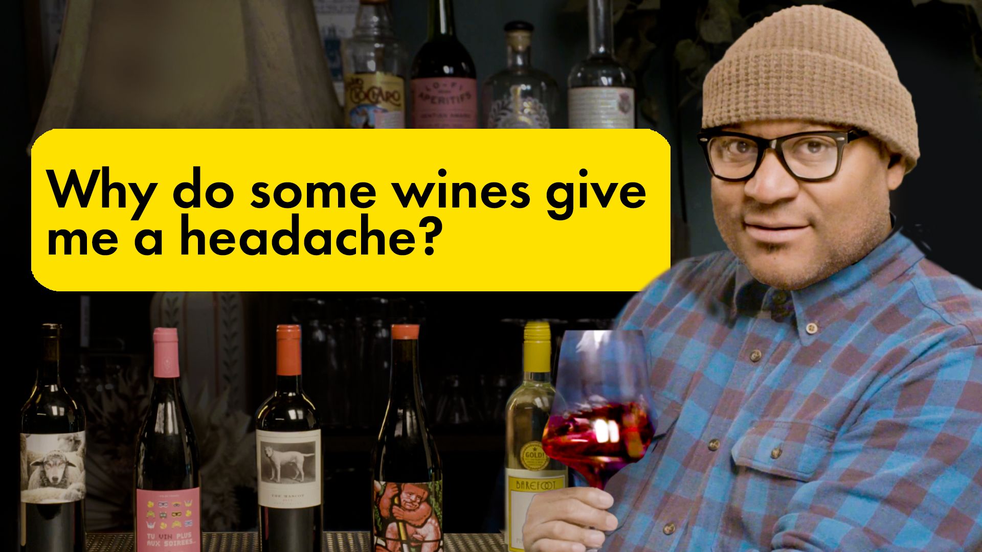 Watch Sommelier Answers Wine Questions From the World Of