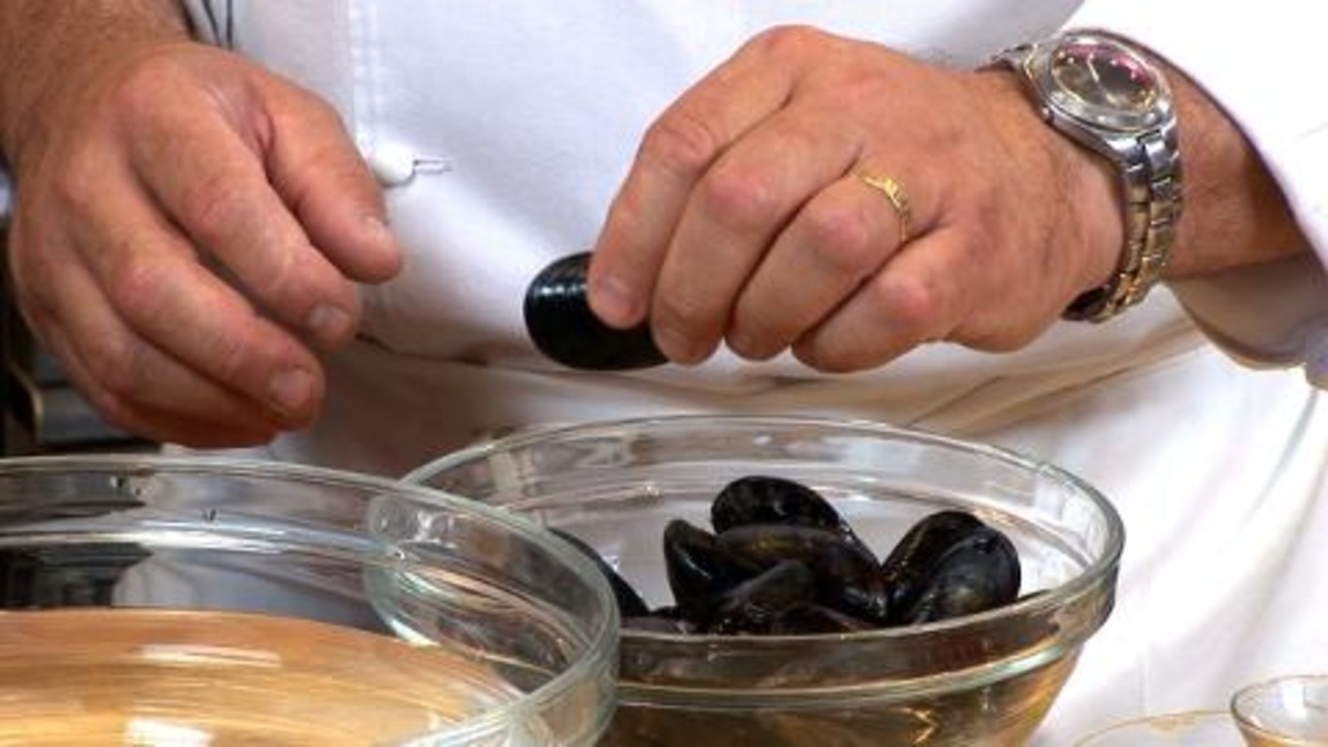 Mussels disappearing from New England waters, scientists say | wtsp.com