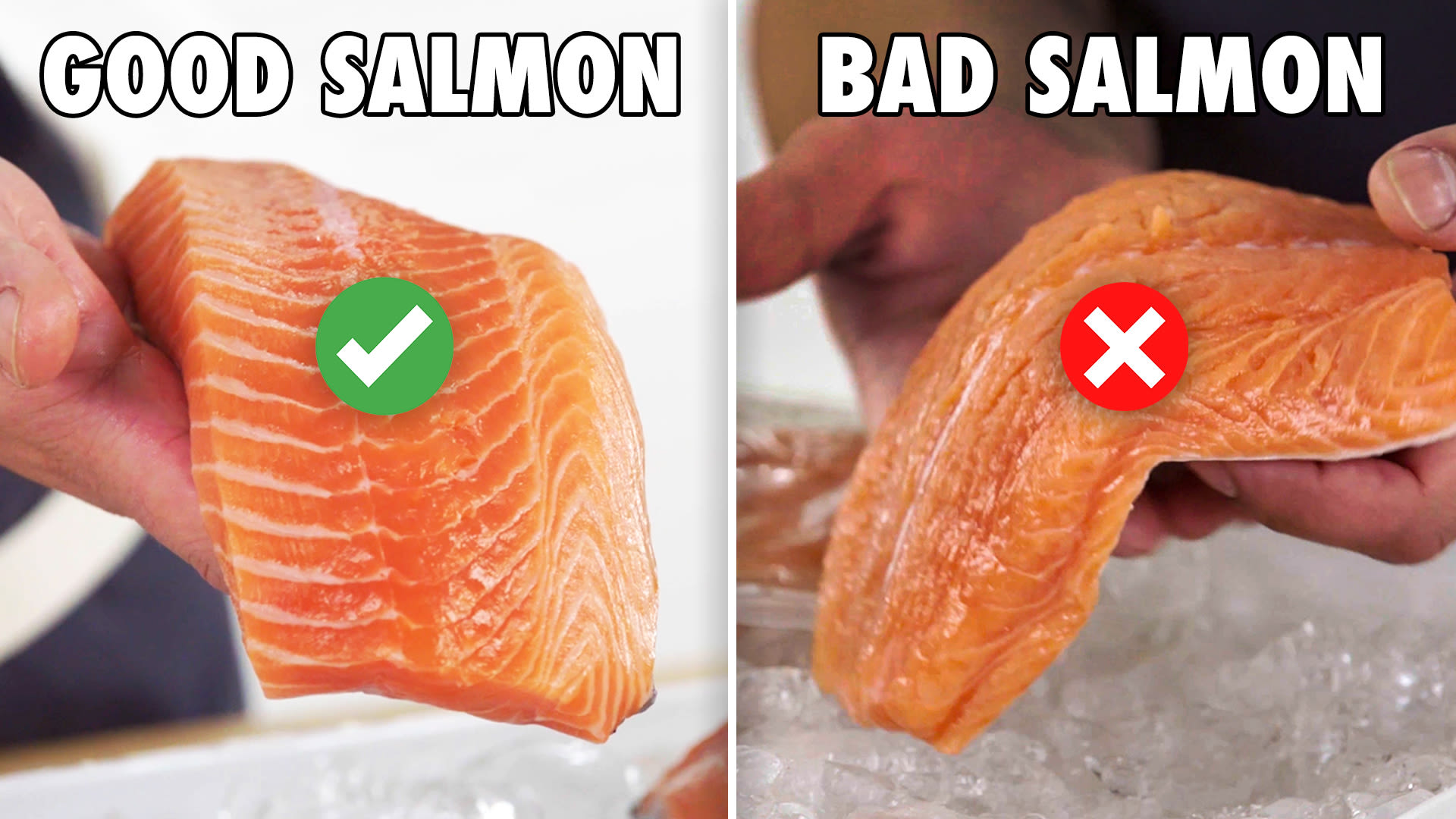 Watch Every Red Flag When Buying Fish | Epicurious