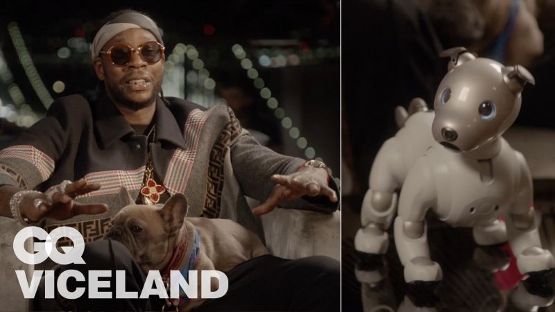 most expensive robot dog