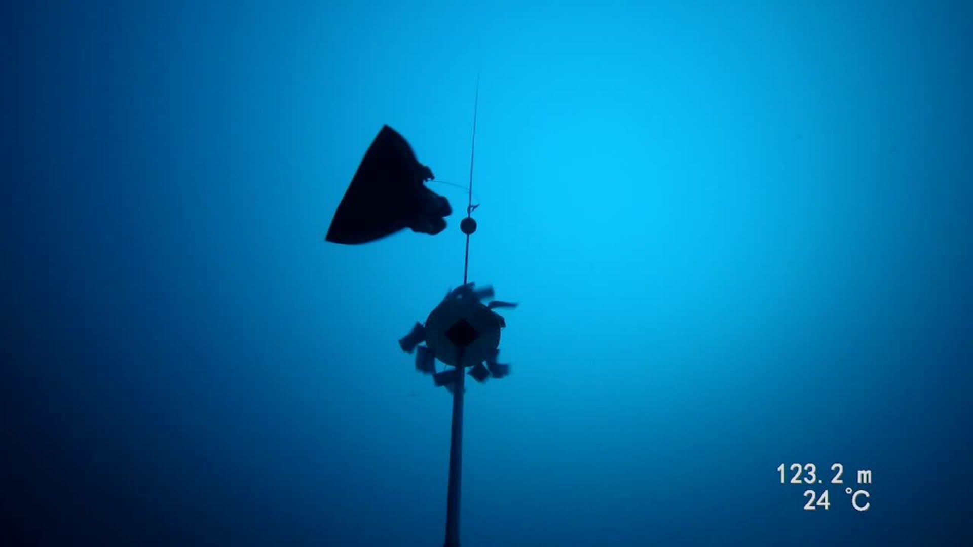 Watch Il record di Homar Leuci GQ Italia