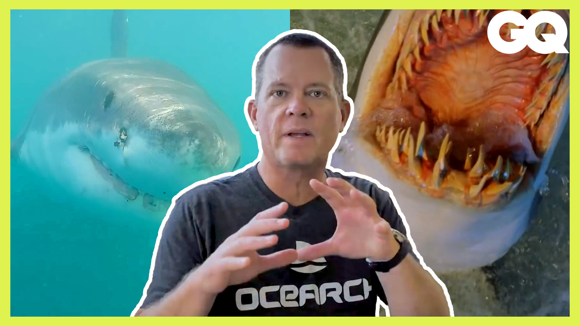 Watch 鯊魚可以在一哩外聞到血？百慕達三角洲有什麼？海洋研究員破解大眾迷思 Ocean Researcher Debunks Ocean