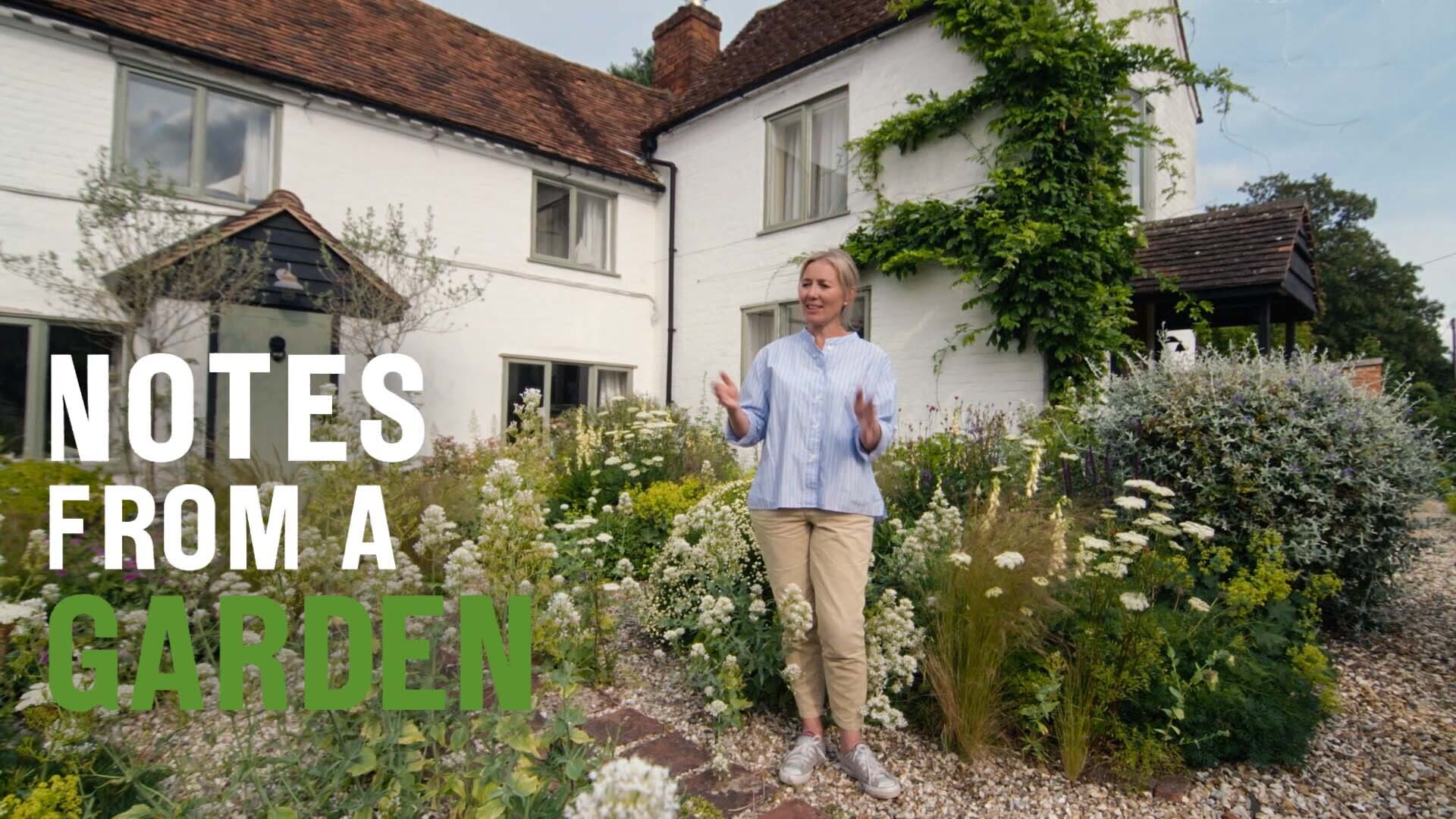 Watch Clare Foster's thriving traditional English garden Notes From A