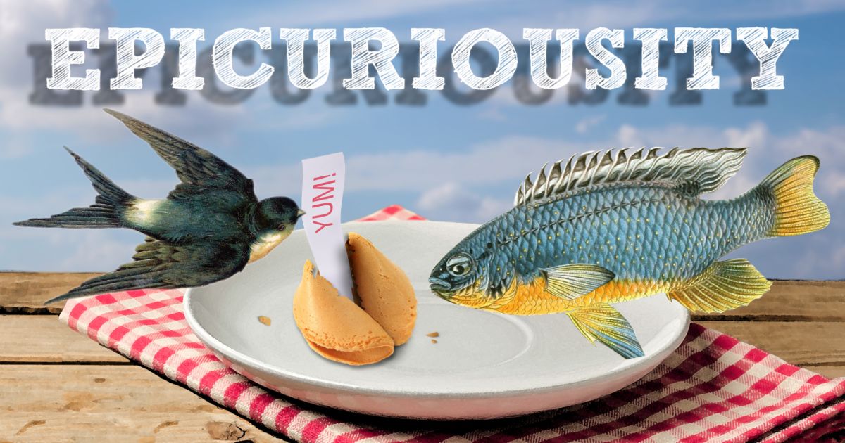 Epicurious: Epicuriousity Video Series