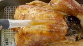 Poultry: Basting a Turkey