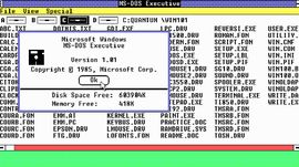 A Look Back at the First Windows