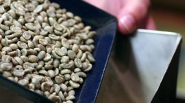 Gevalia: Selecting the Finest Coffee Beans