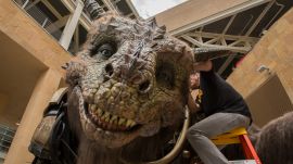 Watch the Giant Creature Marry a Couple & More Highlights from San Diego Comic-Con 2014