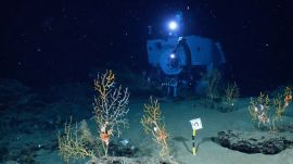 The Alvin Submarine Part 2: Incredible Views On-Board the Deep-Sea Vessel