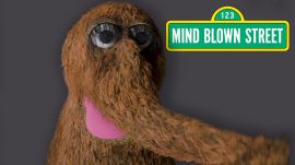 Mr. Snuffleupagus Reads Mind-Blowing Facts About the Universe 