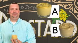 Mustard Expert Guesses Cheap vs Expensive Mustard