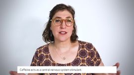 Mayim Bialik Answers 50 of the Most Googled Neuroscience Questions