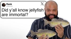 Marine Biologist Answers Fish Questions From Twitter | Tech Support