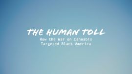 The Human Toll: How the War on Cannabis Targeted Black America