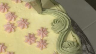 Cake Border Decorating Molds