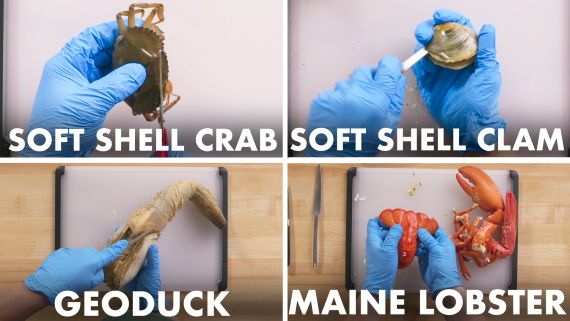 How To Open Every Shellfish