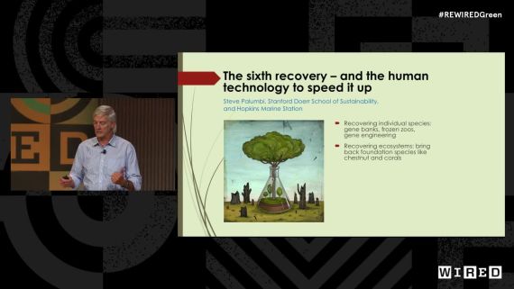 Re:WIRED GREEN 2022: Steve Palumbi discusses the "6th Recovery" and how technology can help accelerate it. 