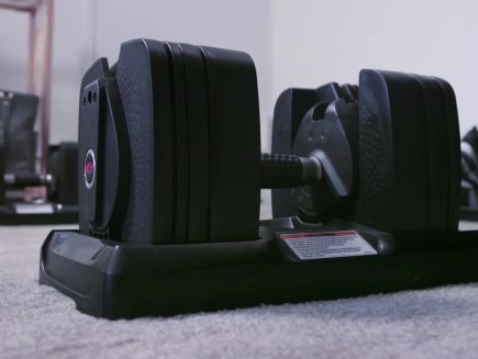 Bowflex selecttech 560 dumbbells deals