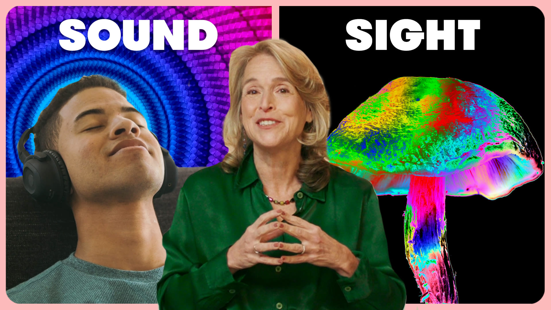 How Magic Mushrooms Affect The 5 Senses