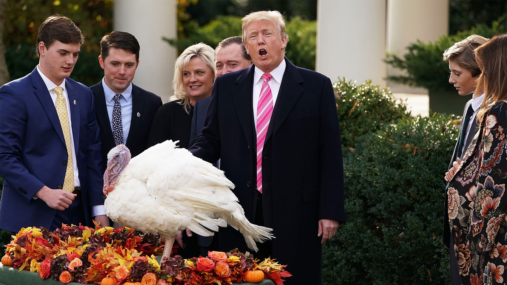 Watch The Story Behind Presidential Turkey Pardons The New Yorker