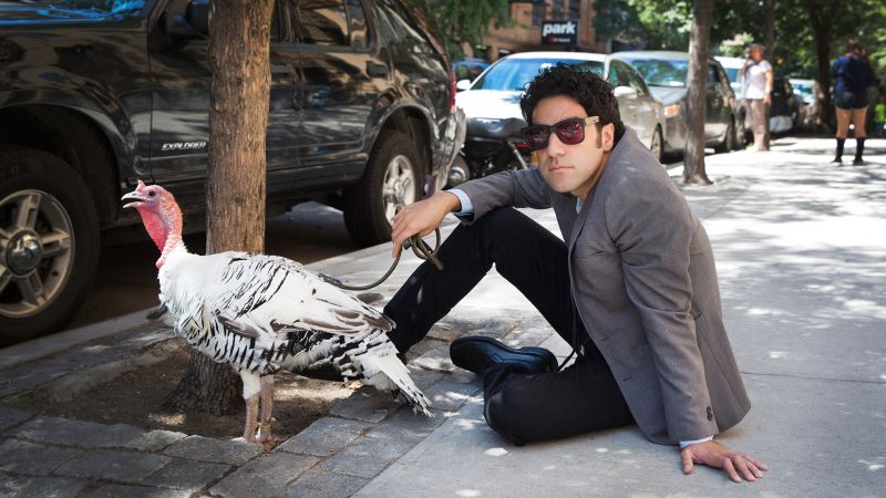 New yorker emotional shop support animal