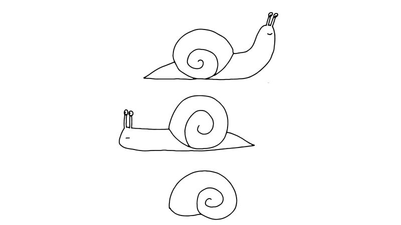 How to Draw Snails | The New Yorker