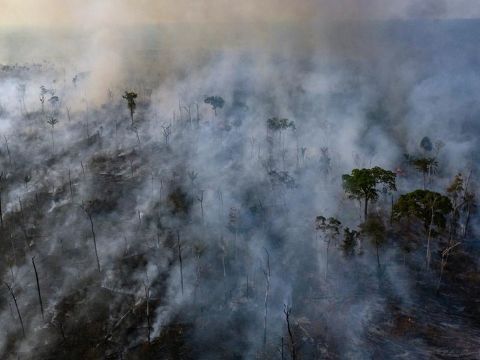Extract: Requiem for a Species by Clive Hamilton | Science