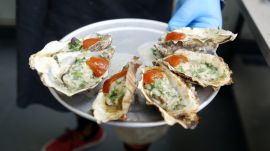 Tomales Bay Oyster Company: Farm-to-Table Freshness