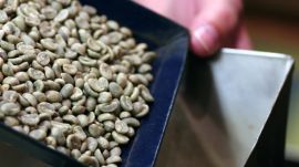 Gevalia: Selecting the Finest Coffee Beans