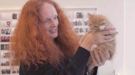 UberKittens Takes a Ride Over to Grace Coddington’s Office at Vogue