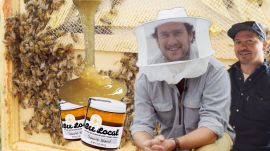 Brad Makes Honey