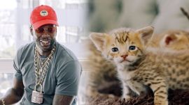2 Chainz Plays with $165,000 Kittens