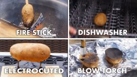 Every Way to Cook a Potato (63 Methods)