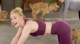 Sophie Turner Tries Goat Yoga