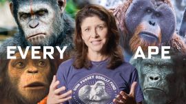Every Ape in Planet of the Apes Explained