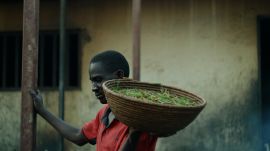 Grasshopper-Catching, a Ugandan Hustle