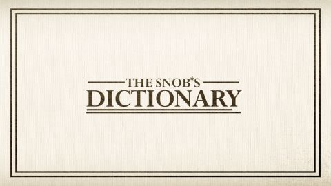 Introducing The Snob's Dictionary