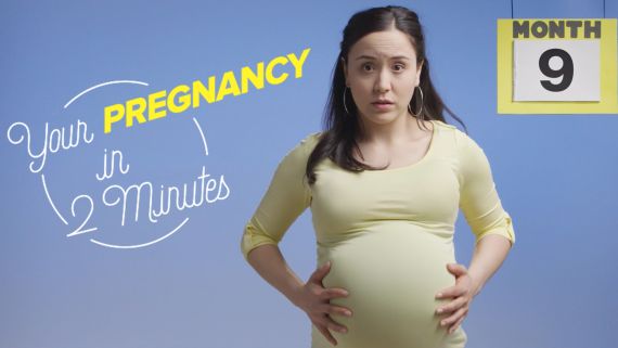 This is Your Pregnancy in 2 Minutes 