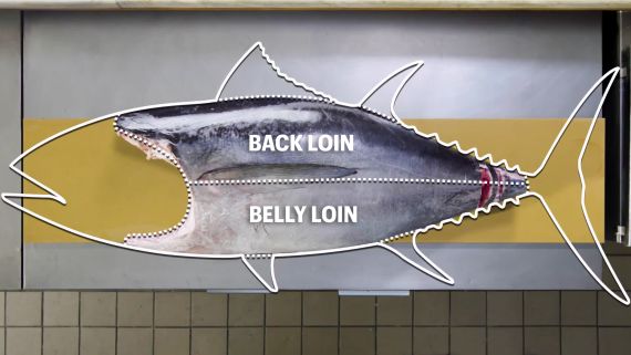 How To Butcher a Whole Tuna: Every Cut of Fish Explained