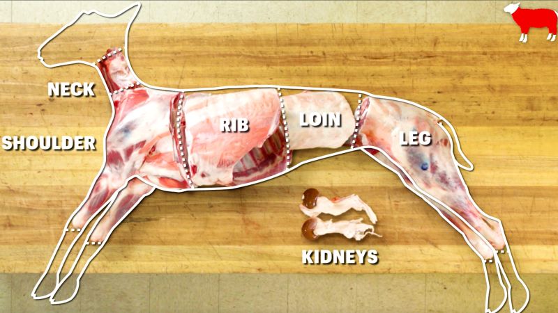 Watch Handcrafted | How to Butcher an Entire Lamb - Every ... cow meat diagram 