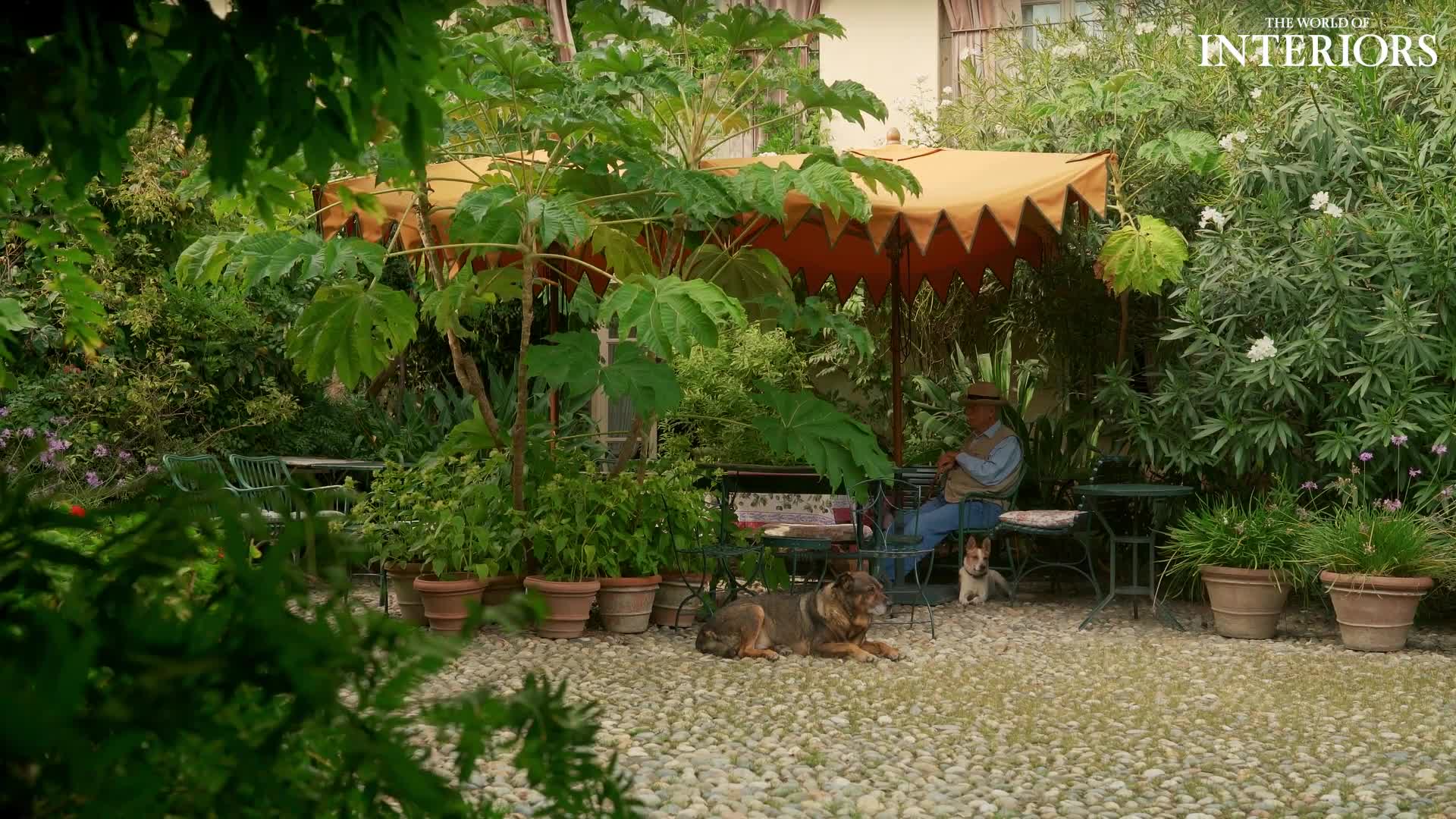 Watch The Floral High Ground Visitors Book THE WORLD OF INTERIORS