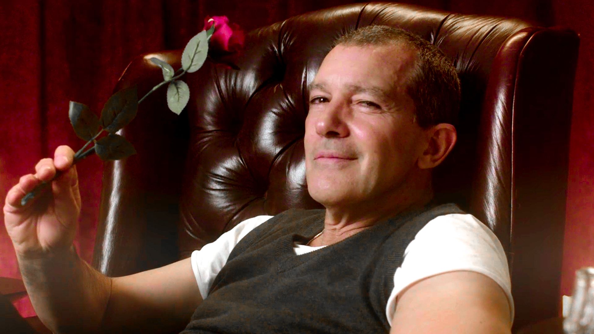 Watch Antonio Banderas Reads MindBlowing Facts About Love Vanity Fair