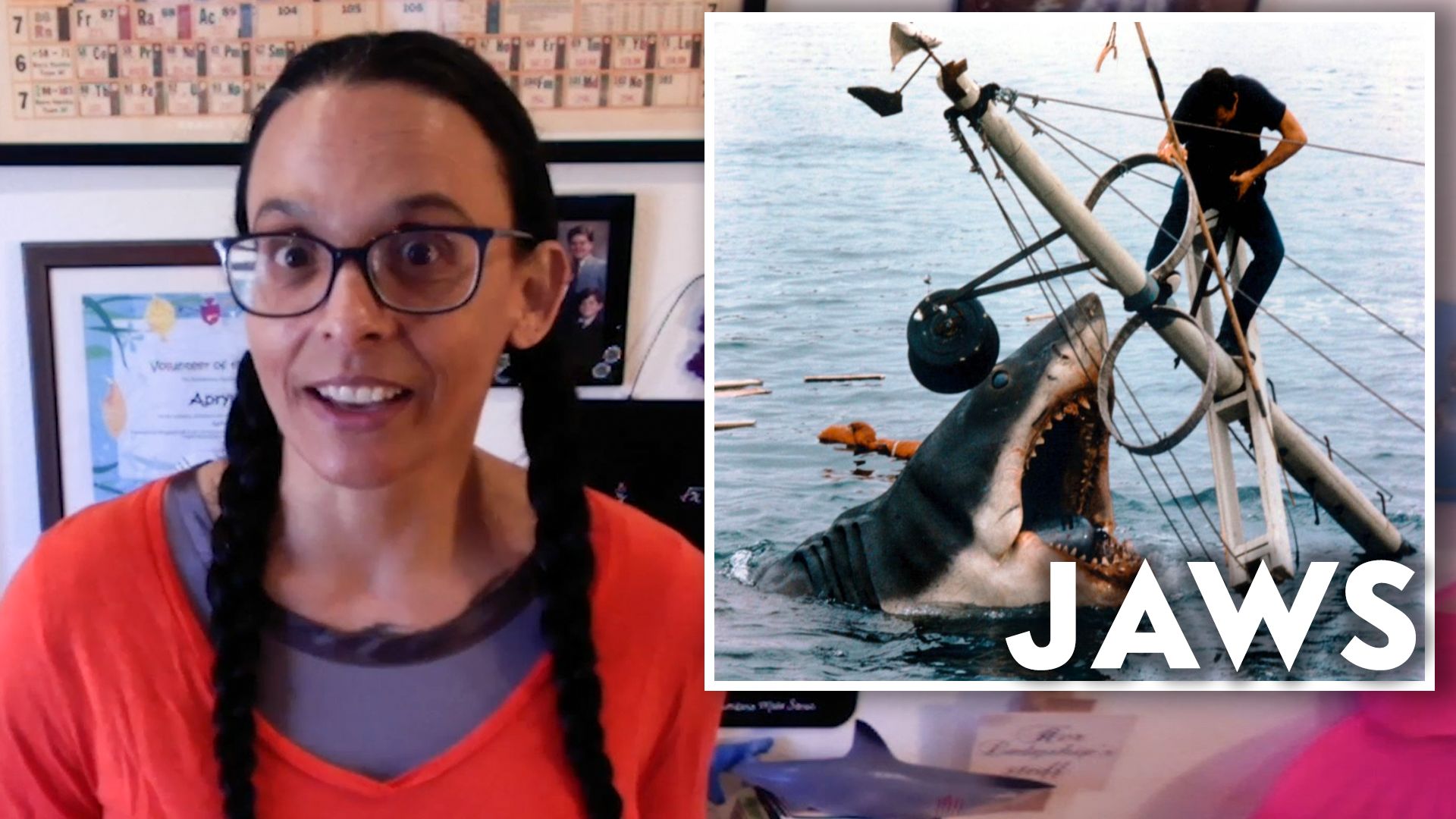 Watch Marine Scientist Reviews Shark Attack Scenes, from 'Jaws' to 'Open  Water', VF Reviews