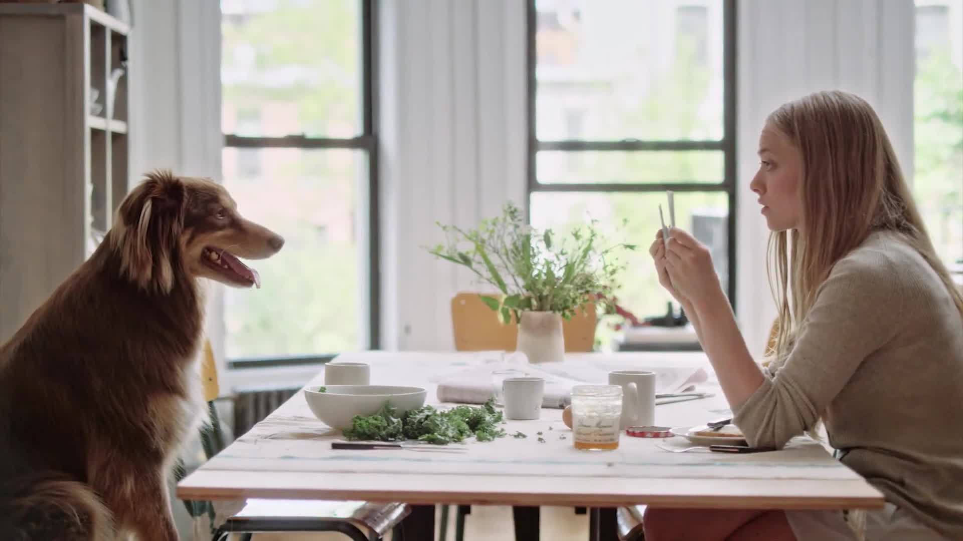 watch amanda seyfried s dog finn is the