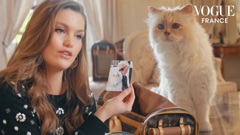Karl lagerfeld sac chat outlet