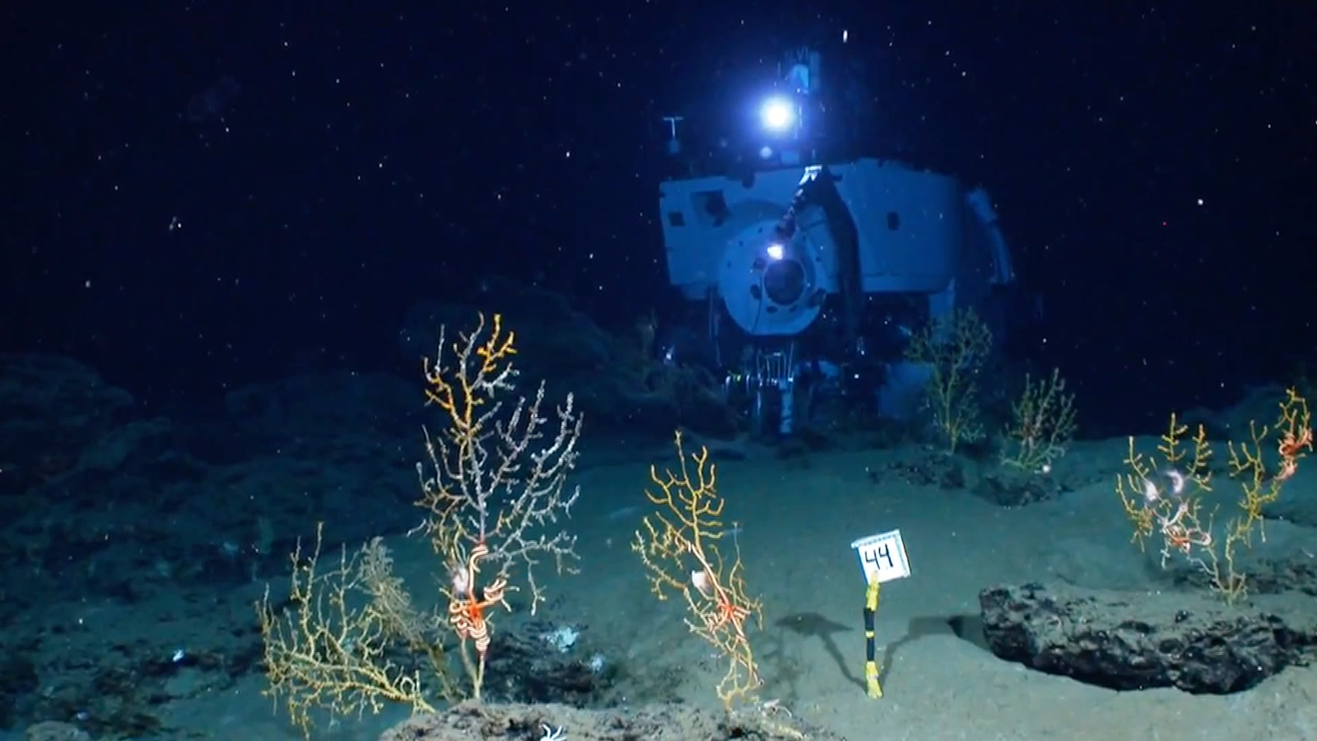 Watch The Alvin Submarine Part 2 Incredible Views OnBoard the Deep